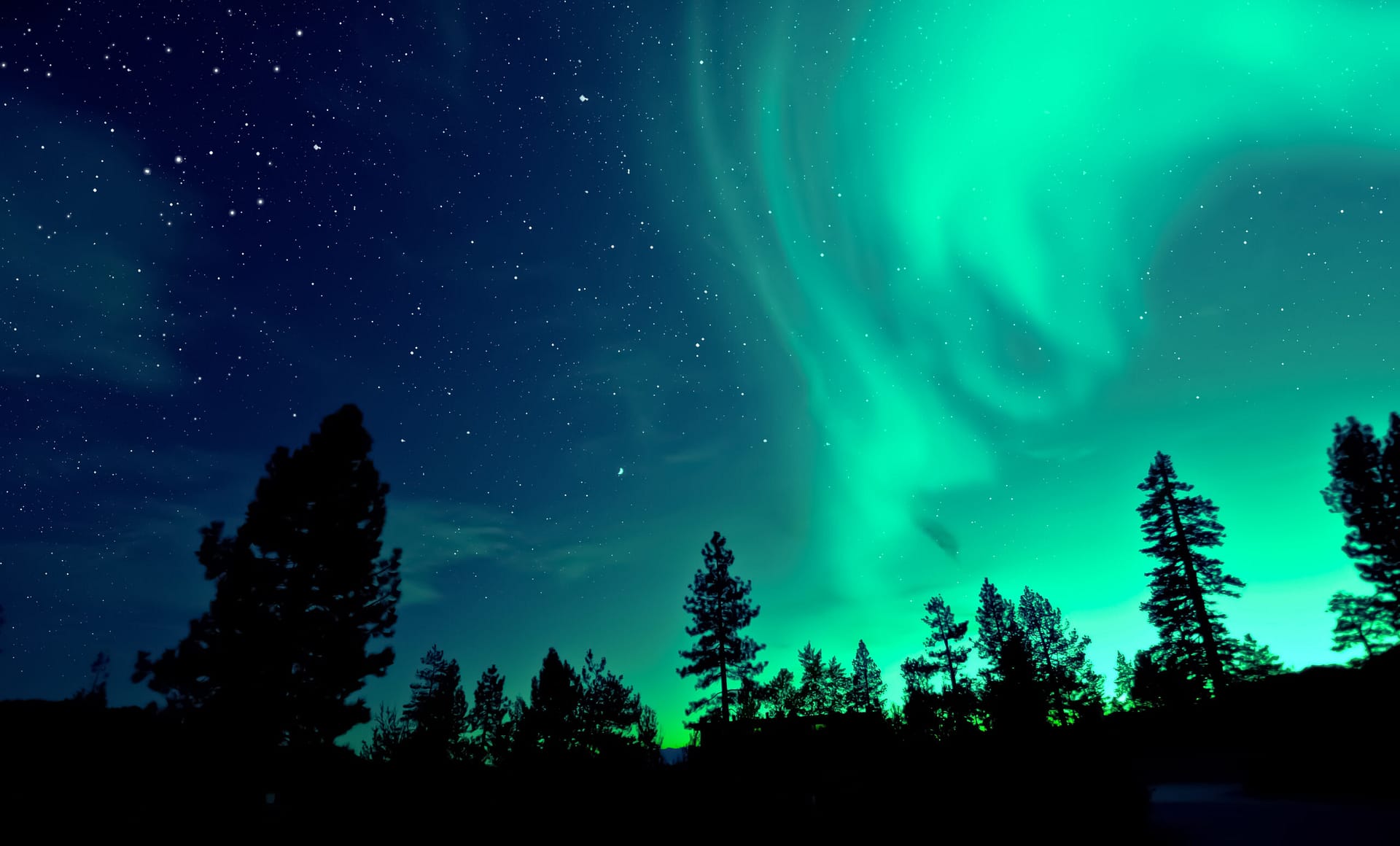 northern-lights-aurora-borealis-trees